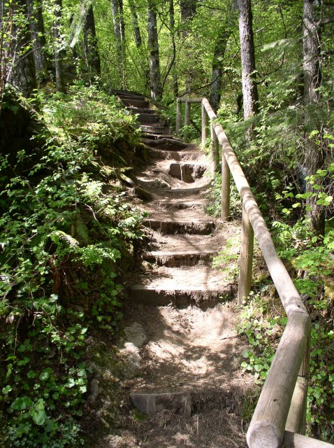 4.30.06 Hamilton Mountain 013 